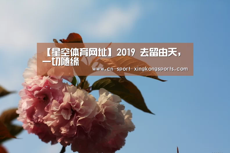 星空体育官网