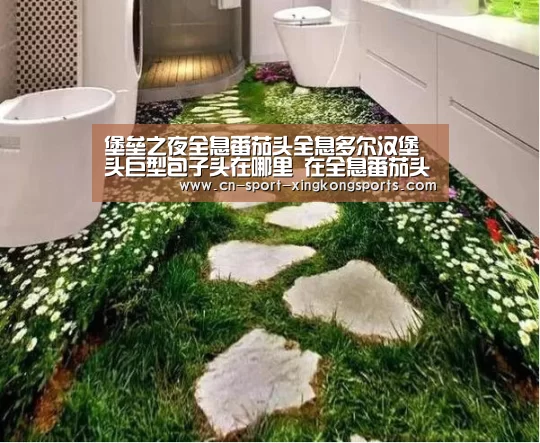 星空体育入口