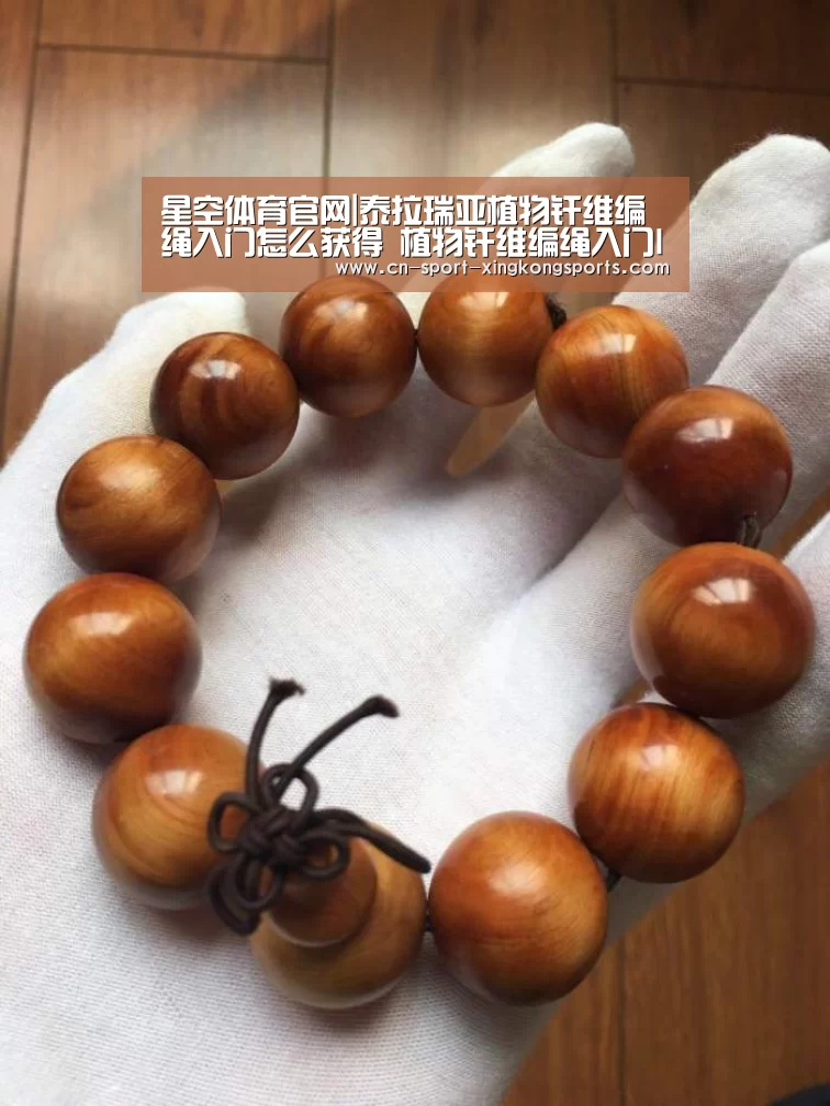 星空体育入口