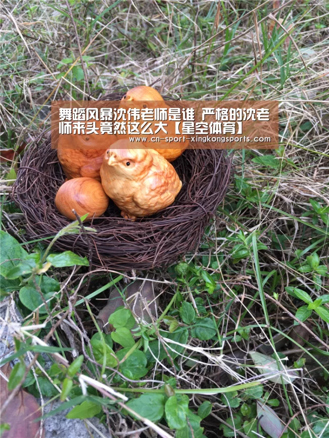 星空体育网址